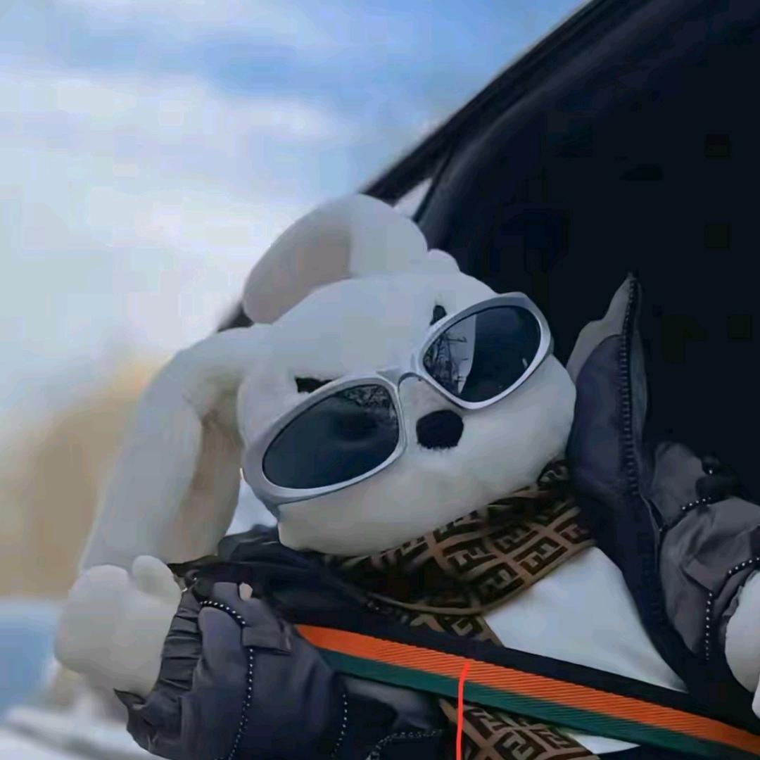 @追梦