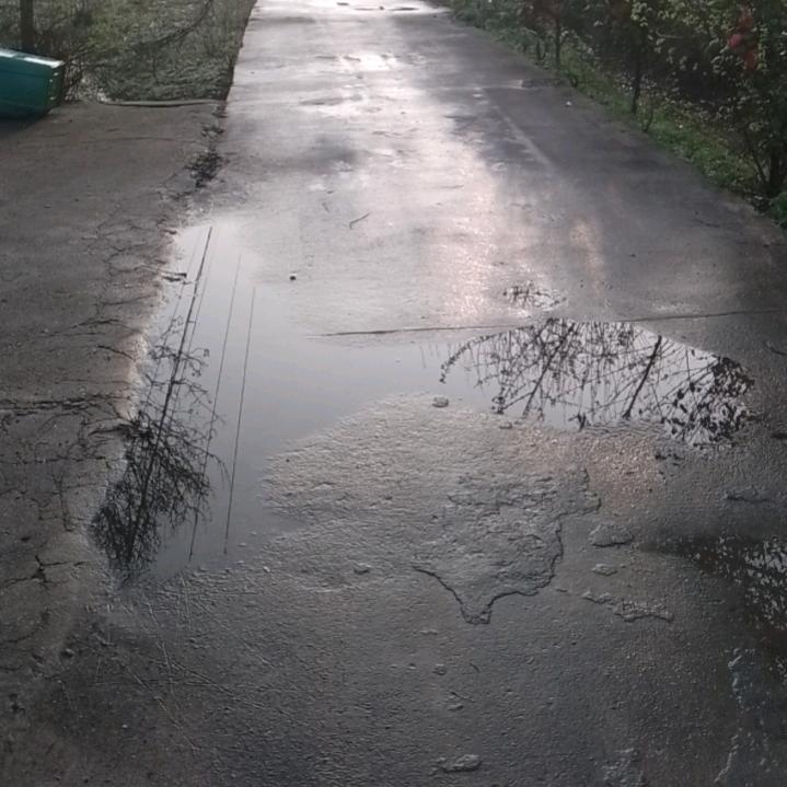 宁可高调单身，不要低质量的婚姻