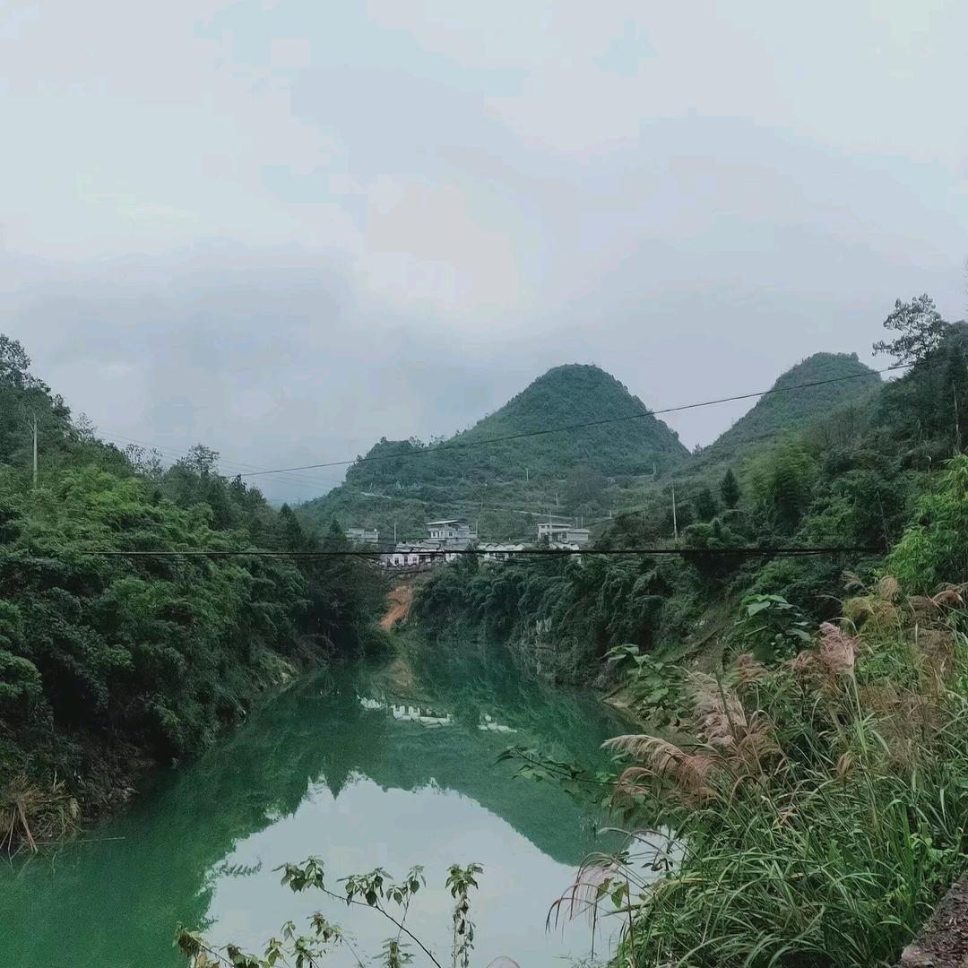 邹姐