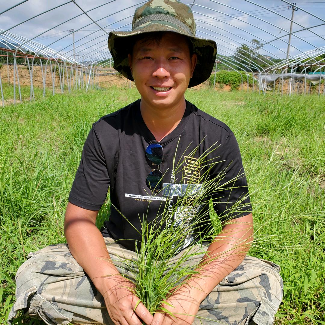 阿峰新农人（翔安草莓种植园）