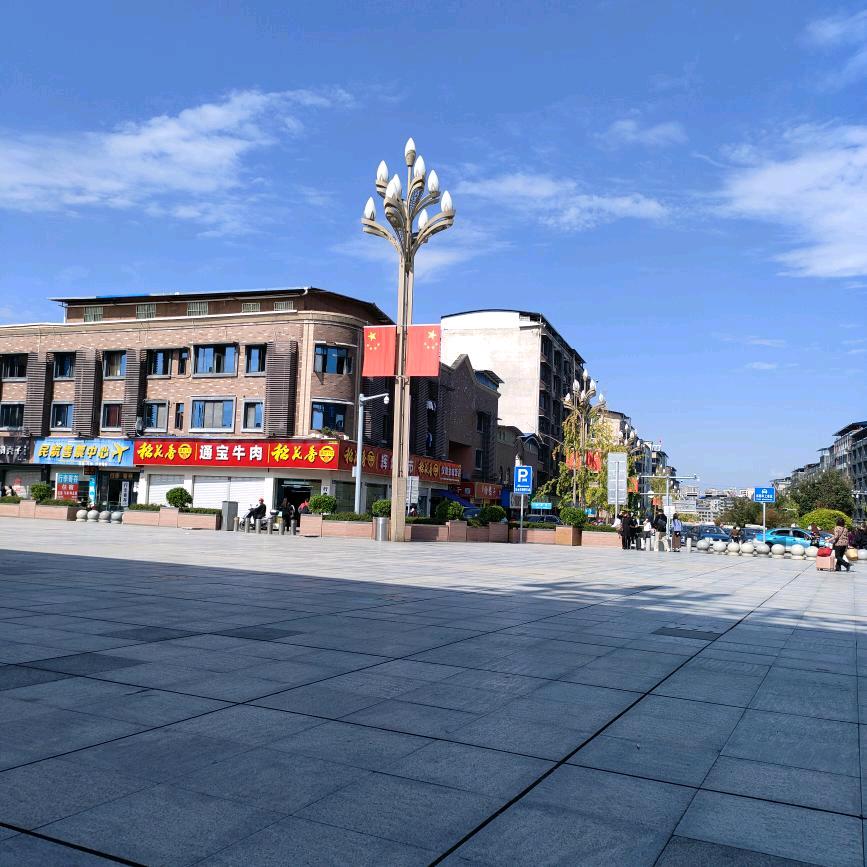 夜来香晚上8点10分