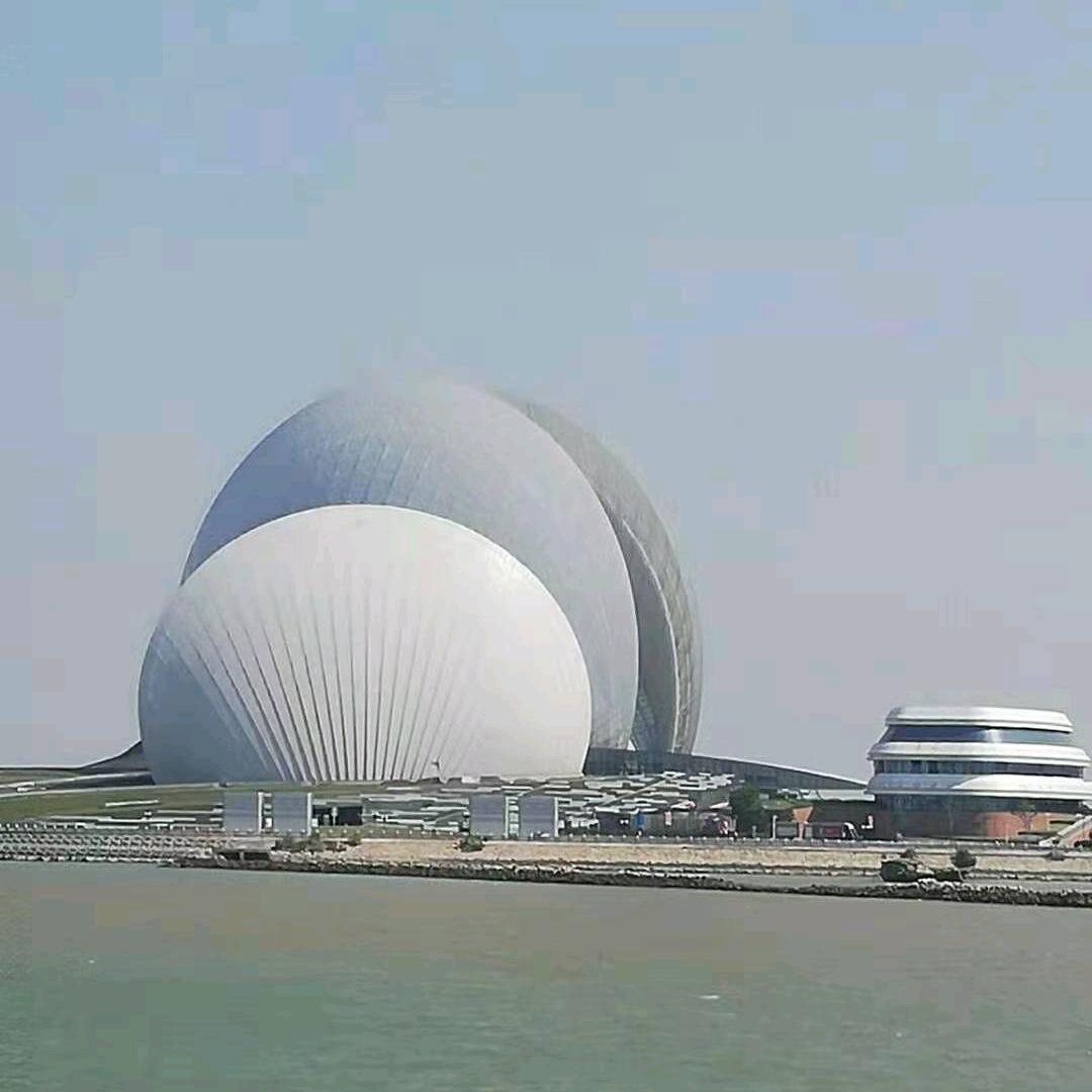 Y沉默是金