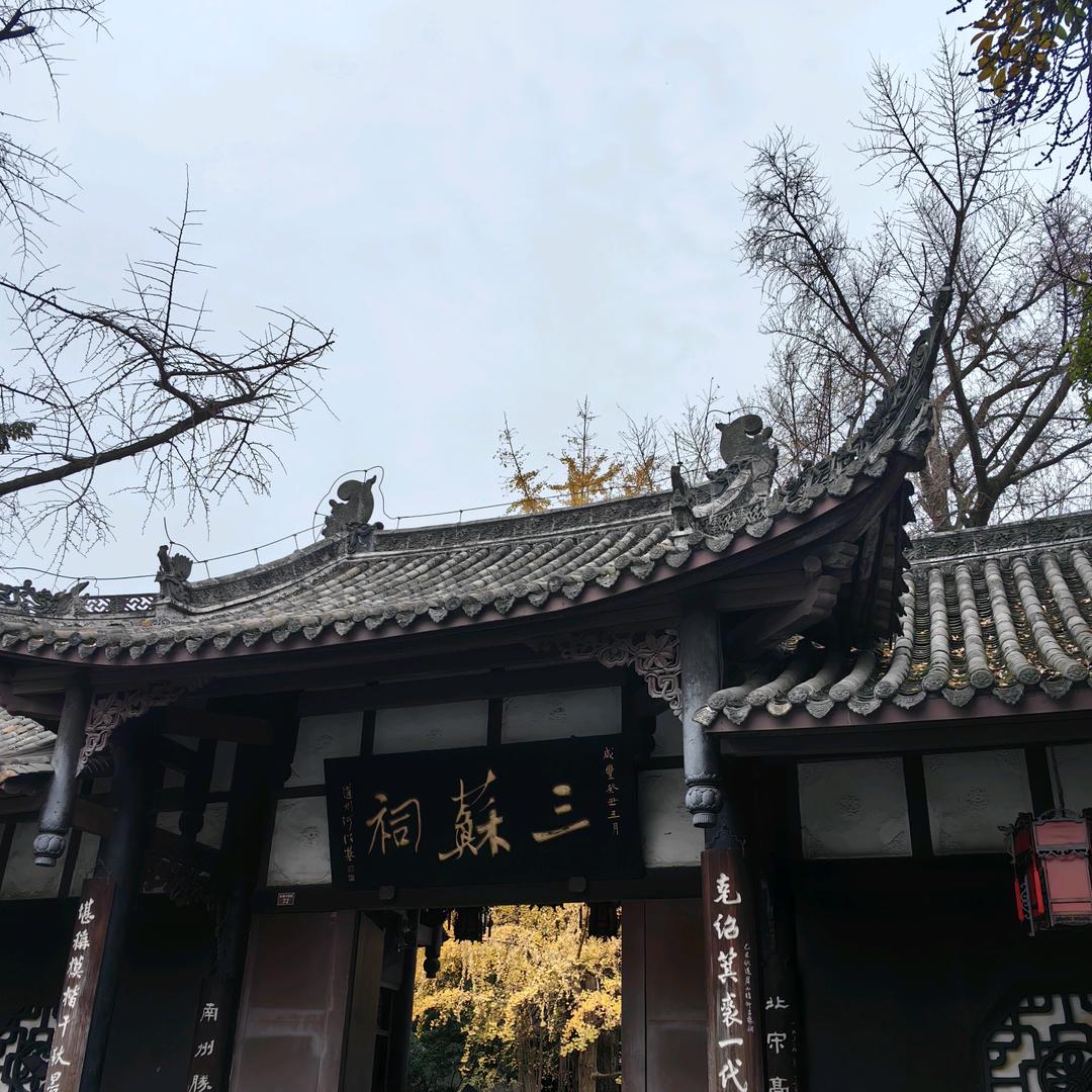 江囊财进💰💰