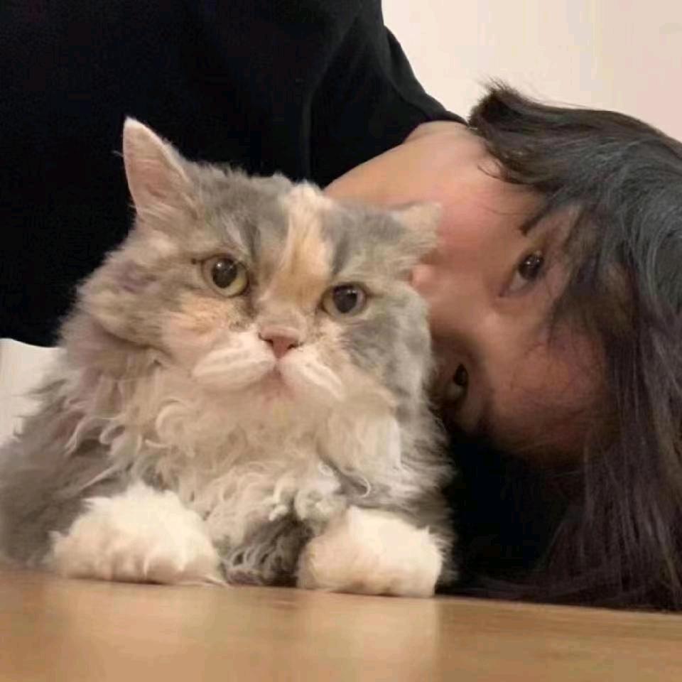 小热热热426