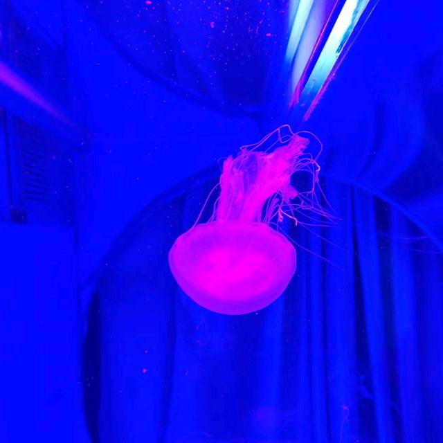 简白@