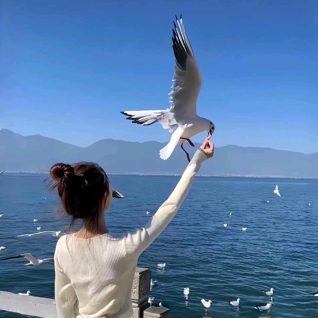 叶子