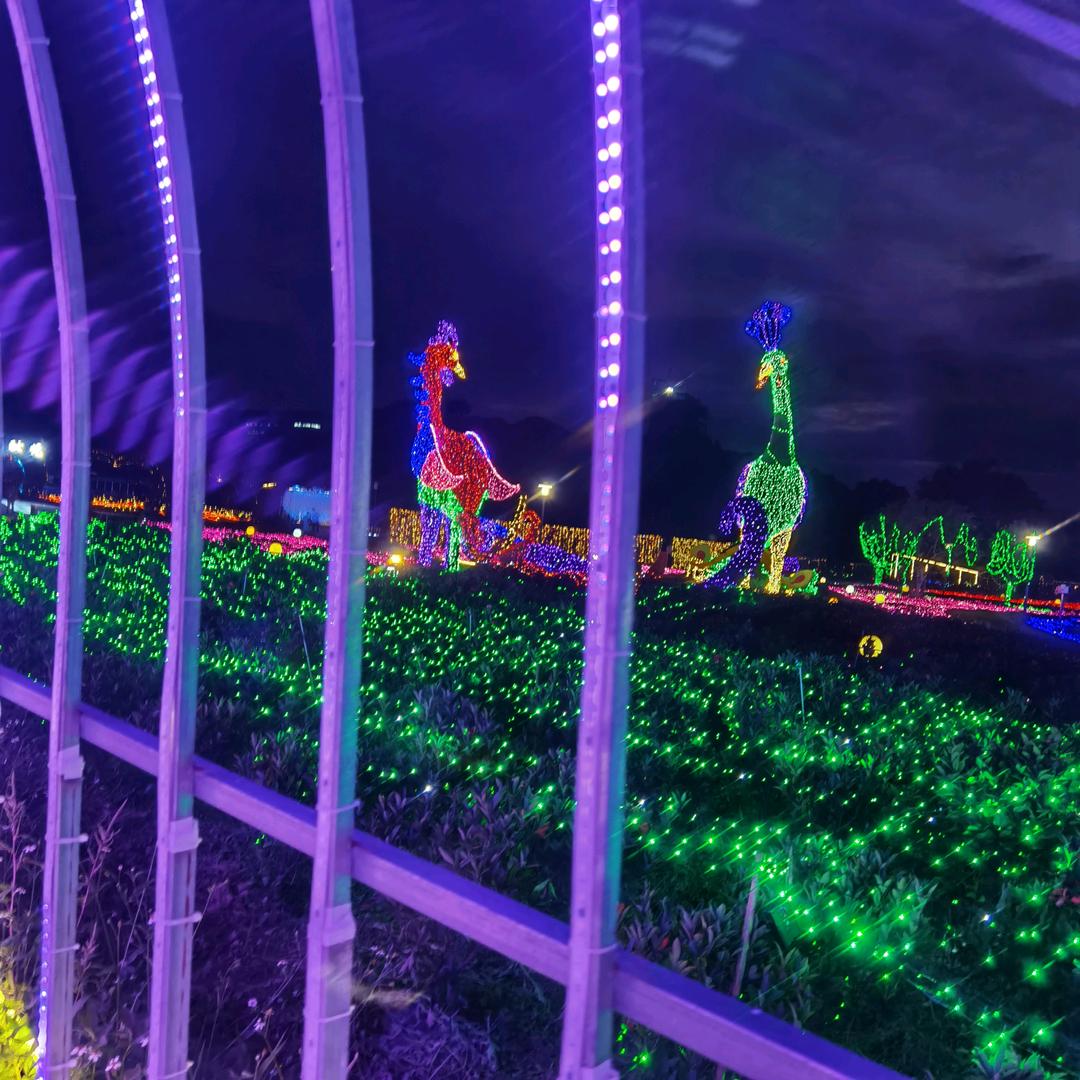 周氏专业放设电缆，压头队伍