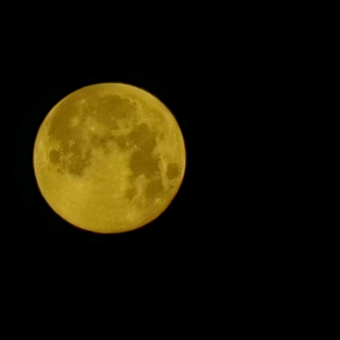 ⌓̈⃝ ·摸鱼大师𓀨