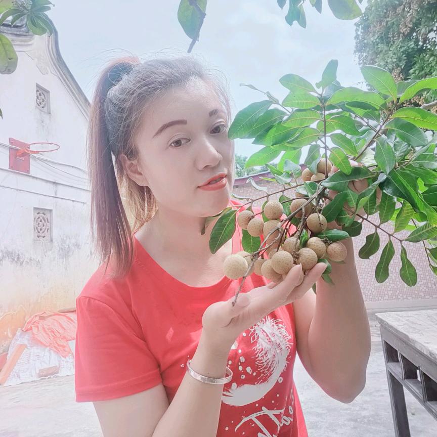 小飞飞
