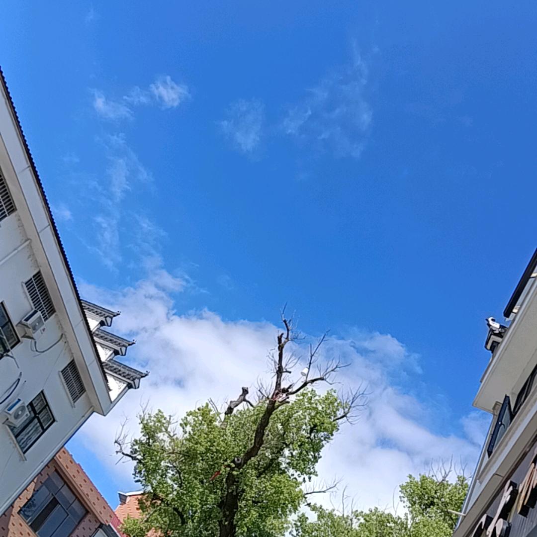 人之初性本善已读不回王八蛋