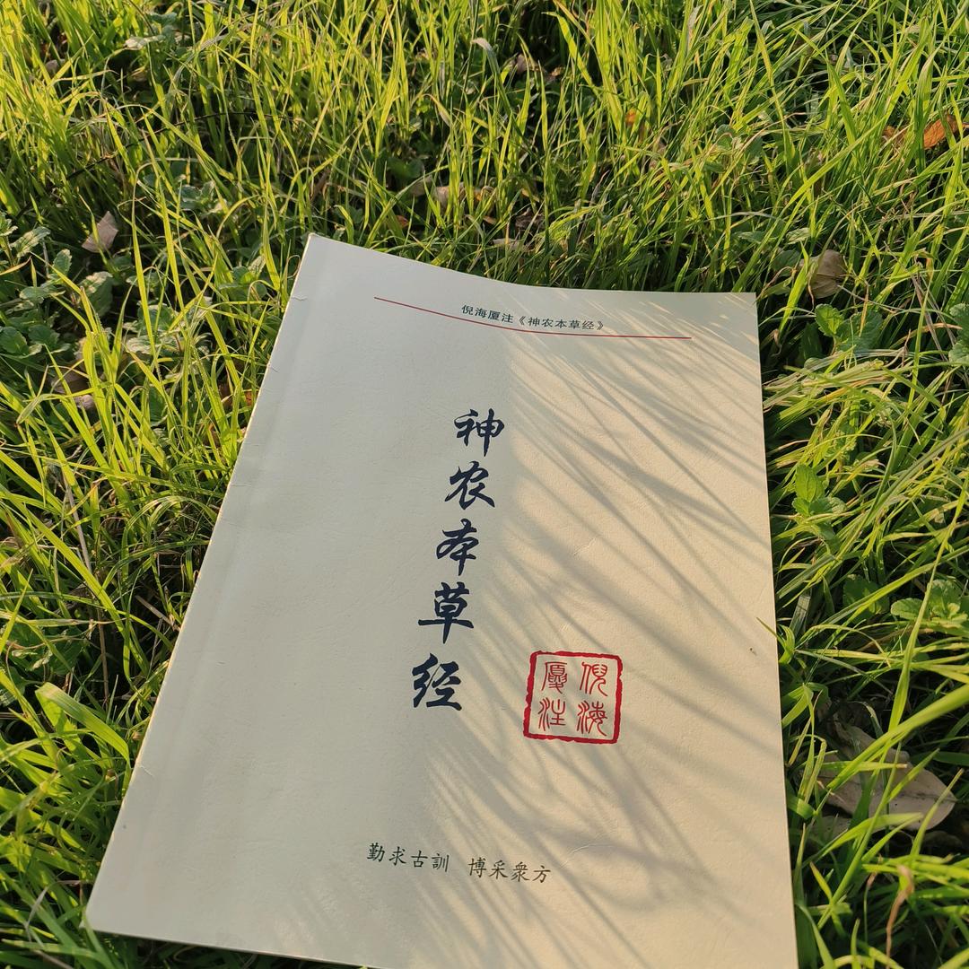 扶阳自学中医