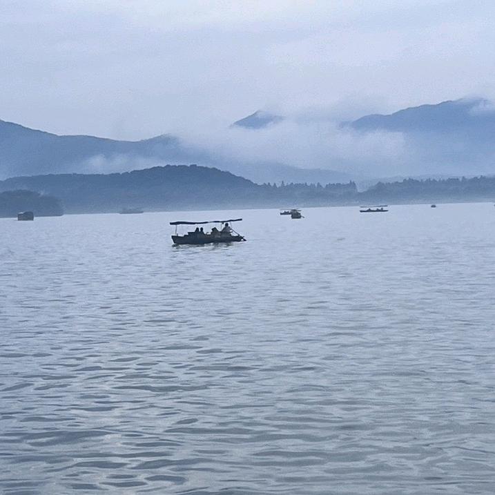 柳然家居旗舰店