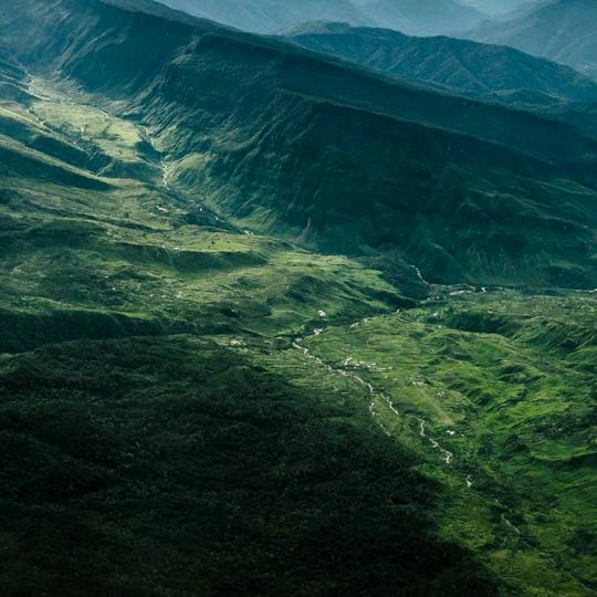 稻土