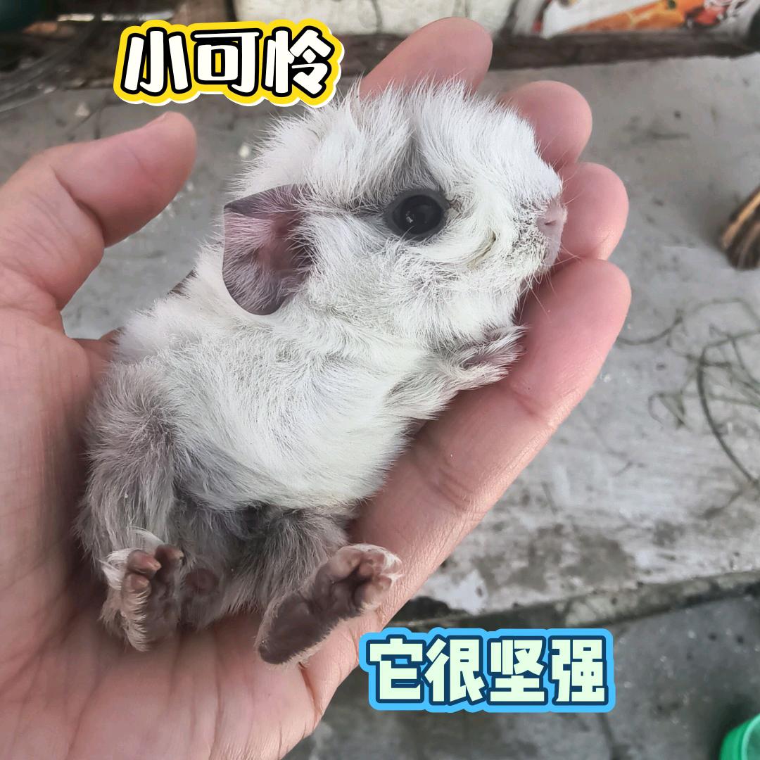 上上ꫛ簽💰ഒᩚ࿐