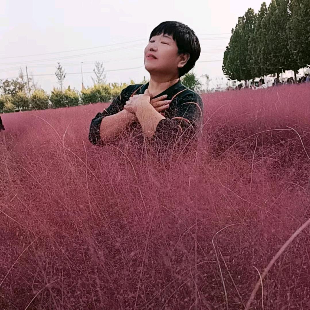 心愿
