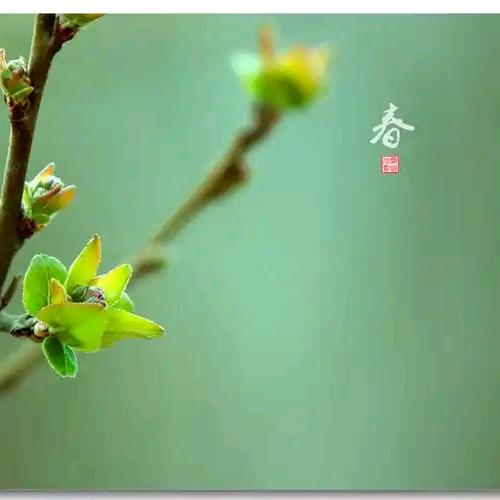 吉星高照