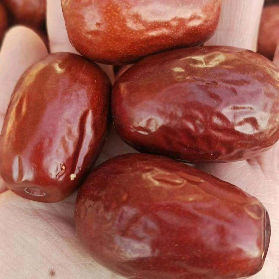 沧州纪姐（代办）