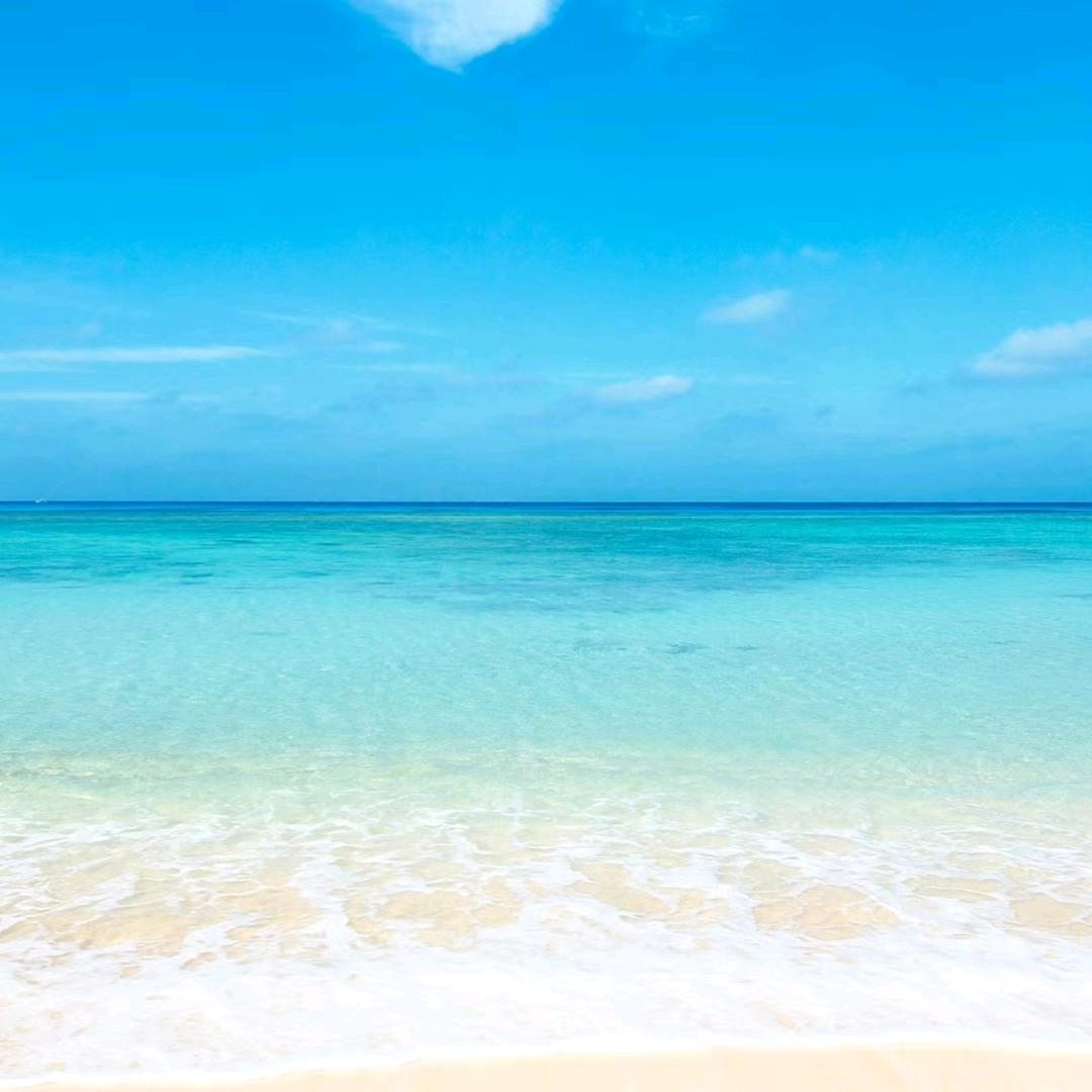 漂流人海中