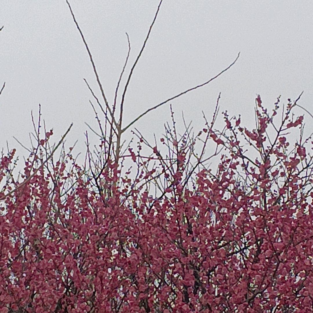 奥德标之泵送分标