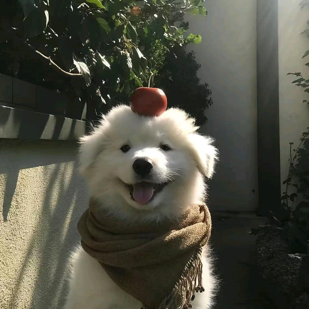 林訢