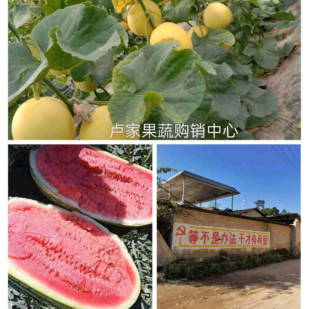 盧家果蔬购销中心