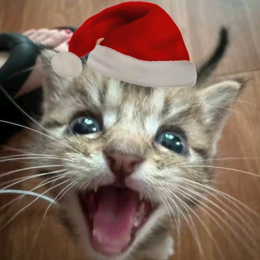 安᳐子大王᳐੭