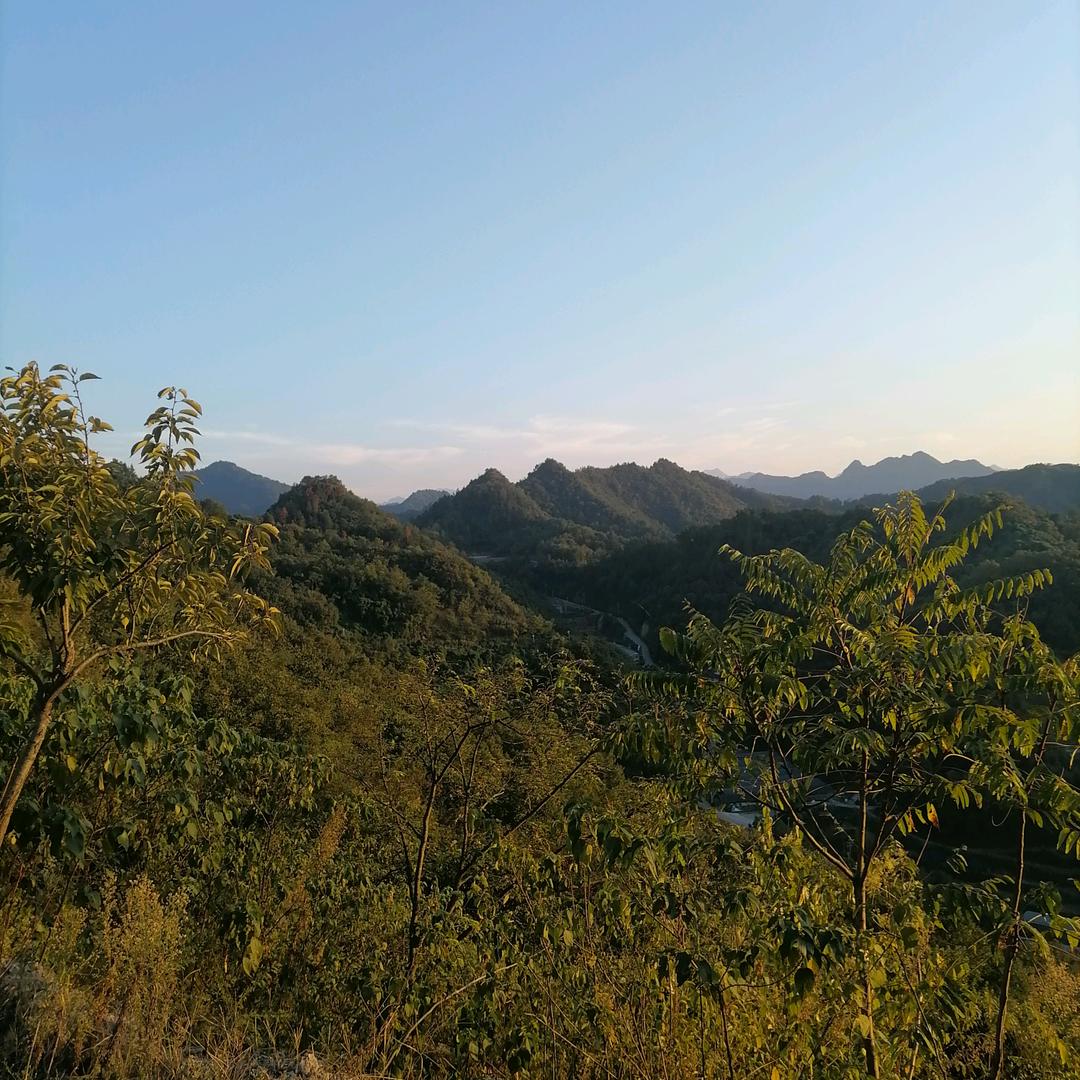 随心随性