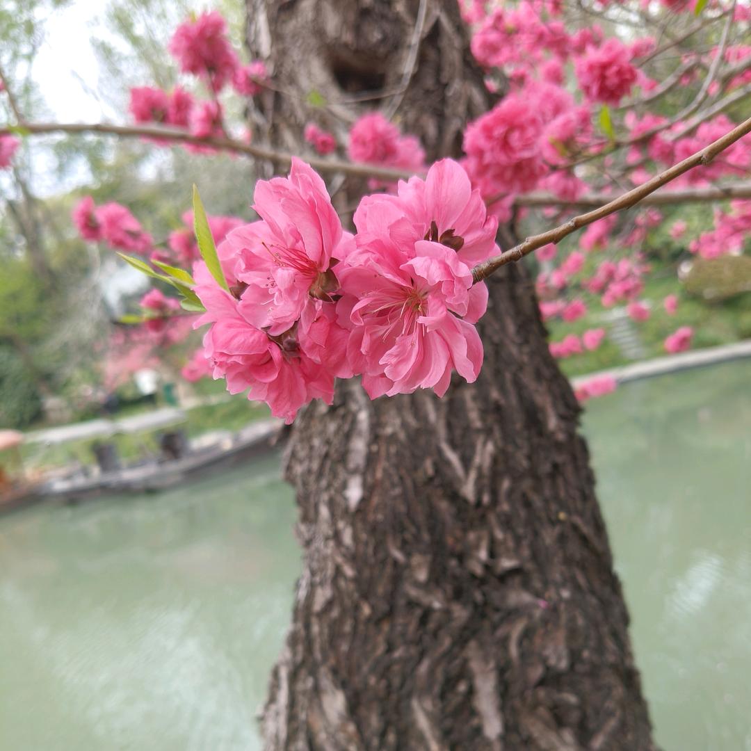 @秋老师