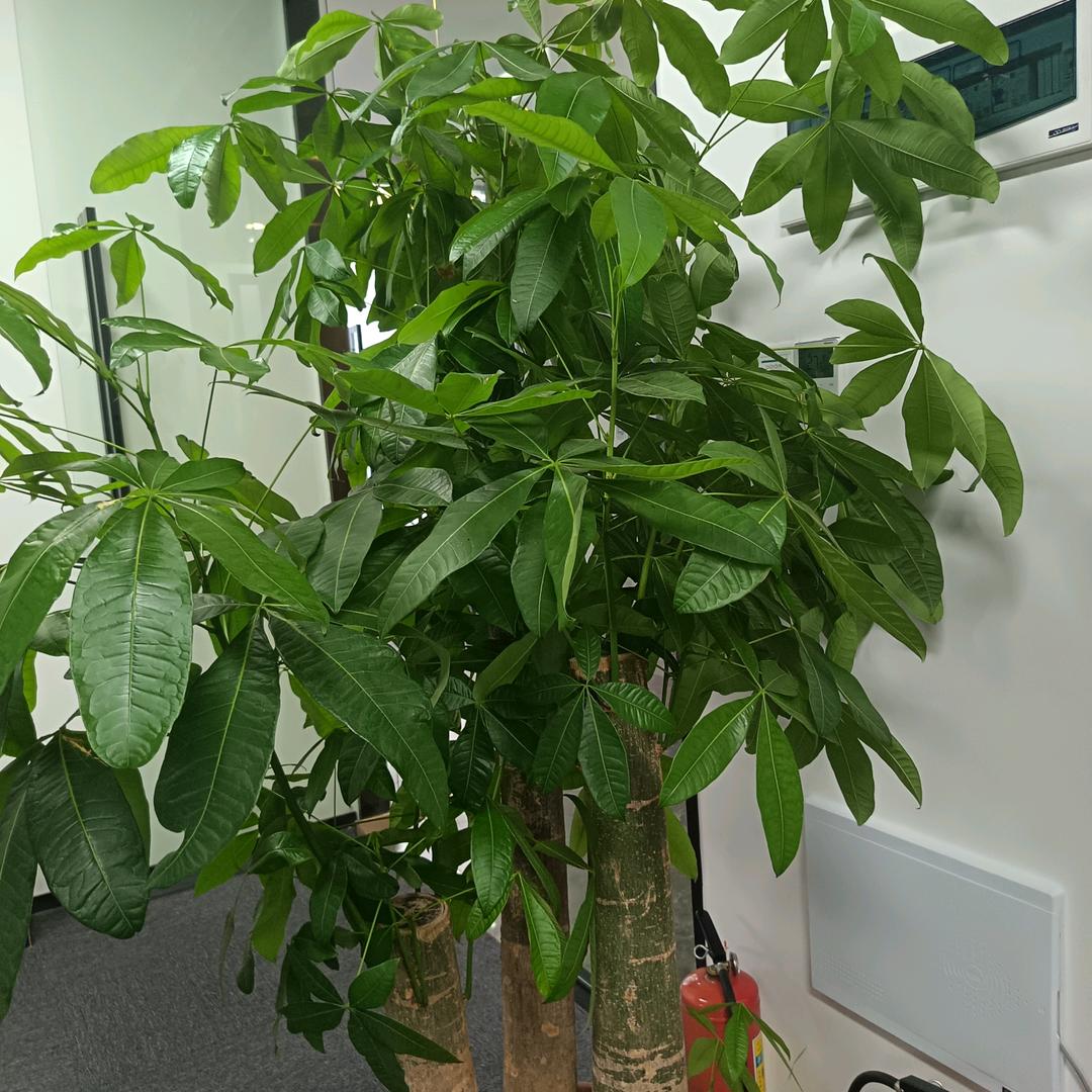 三合优选精品店