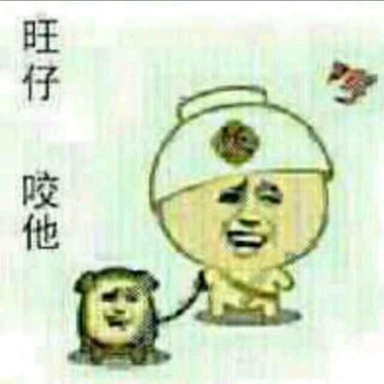 社旗县正泰光伏