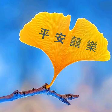 星语心愿