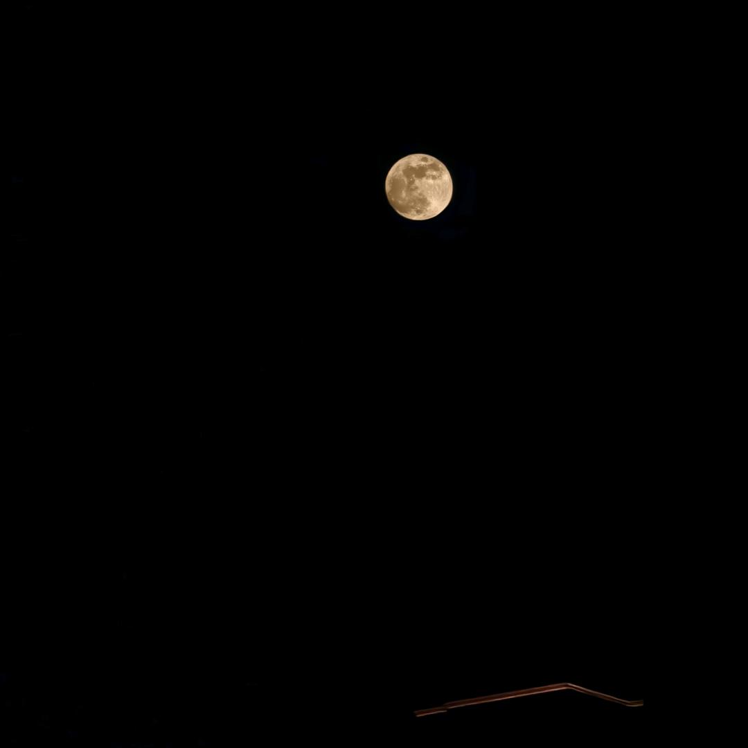 一个有趣又无聊的人