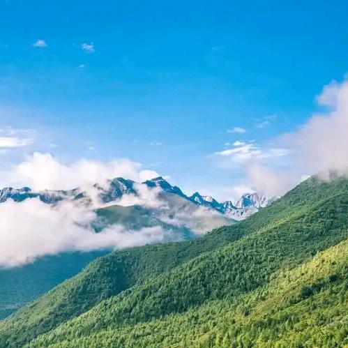 考场直招格格老师