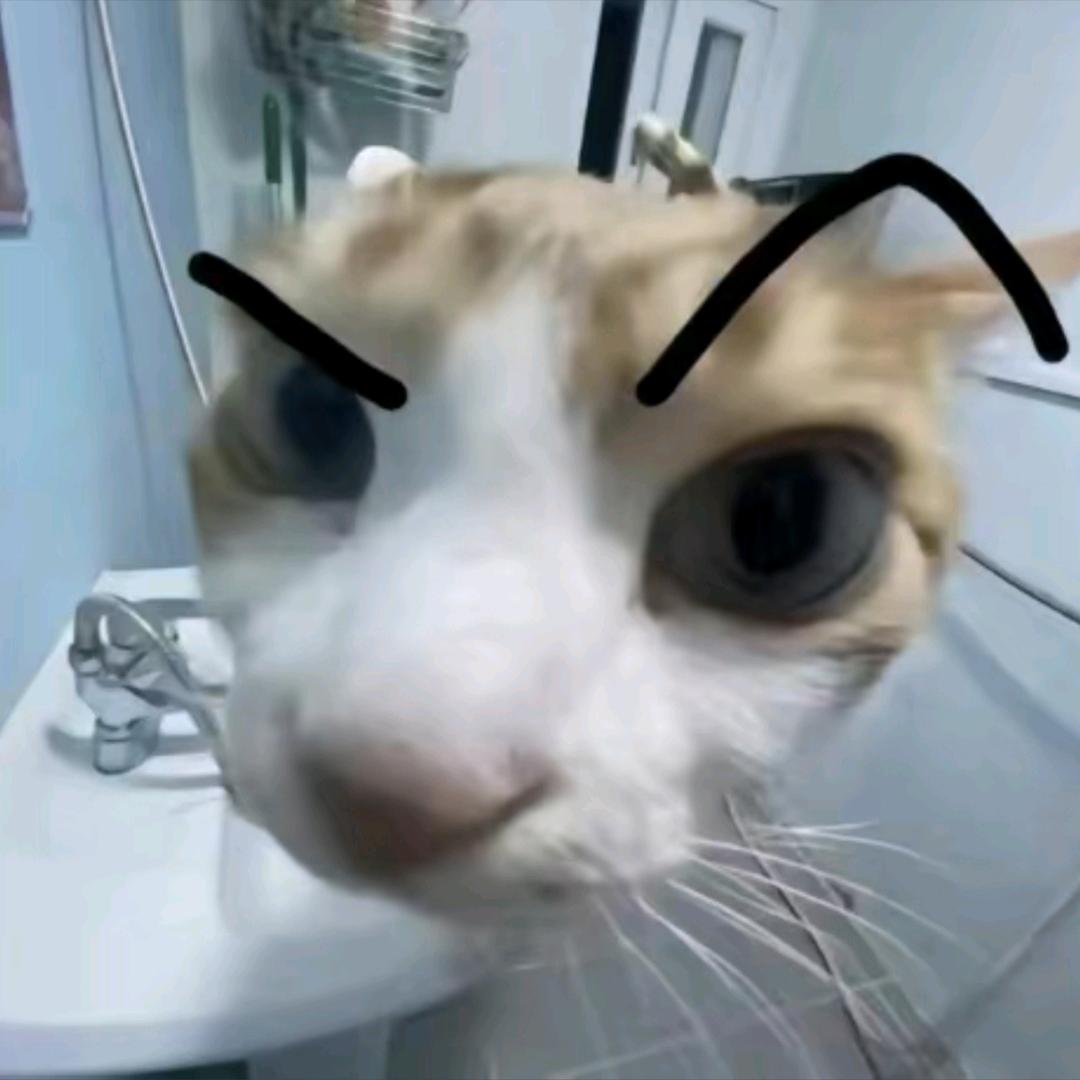ZiXinYBZ