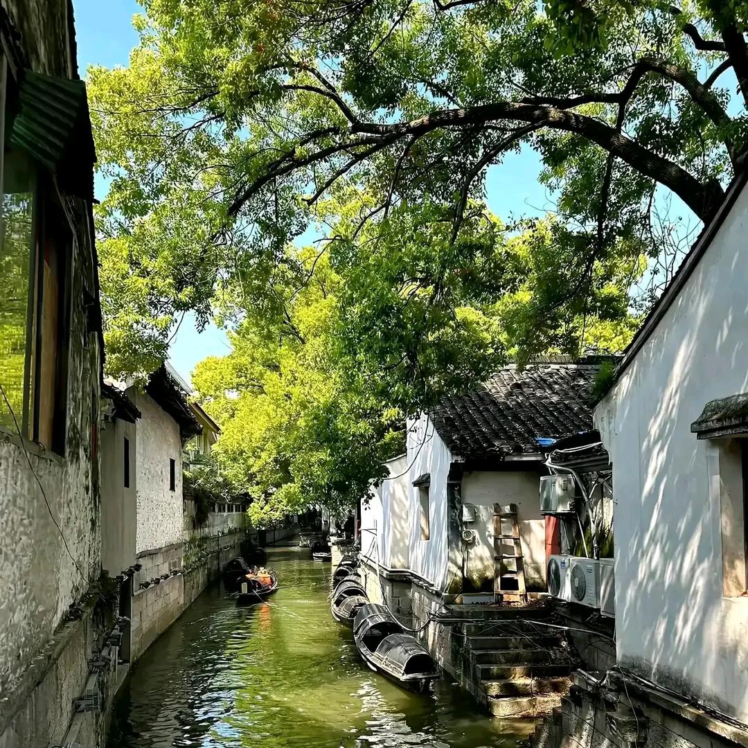 健步“钱”行🏃🏻‍♂️