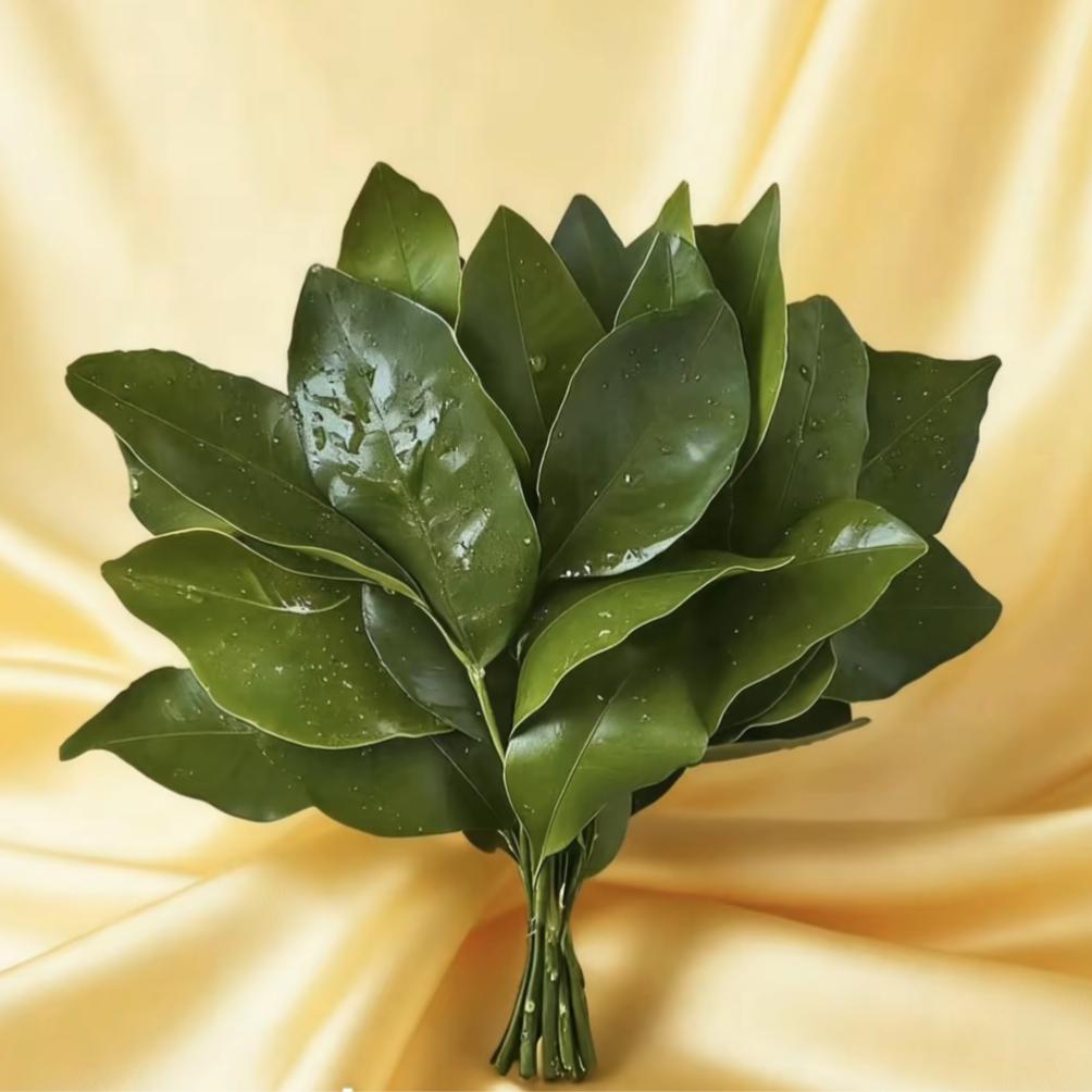 ᦦ້ᮨ꯭໌林小姐💔ꦿ᭄᪲࿐