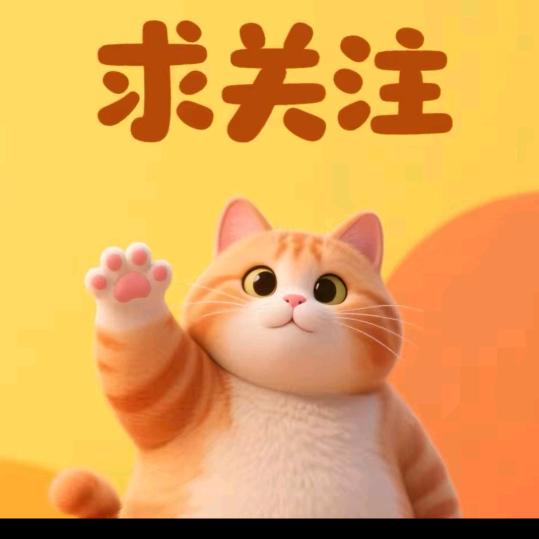 胖了个橘