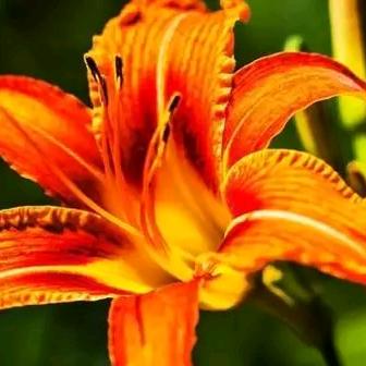 你好快快乐乐每一天。