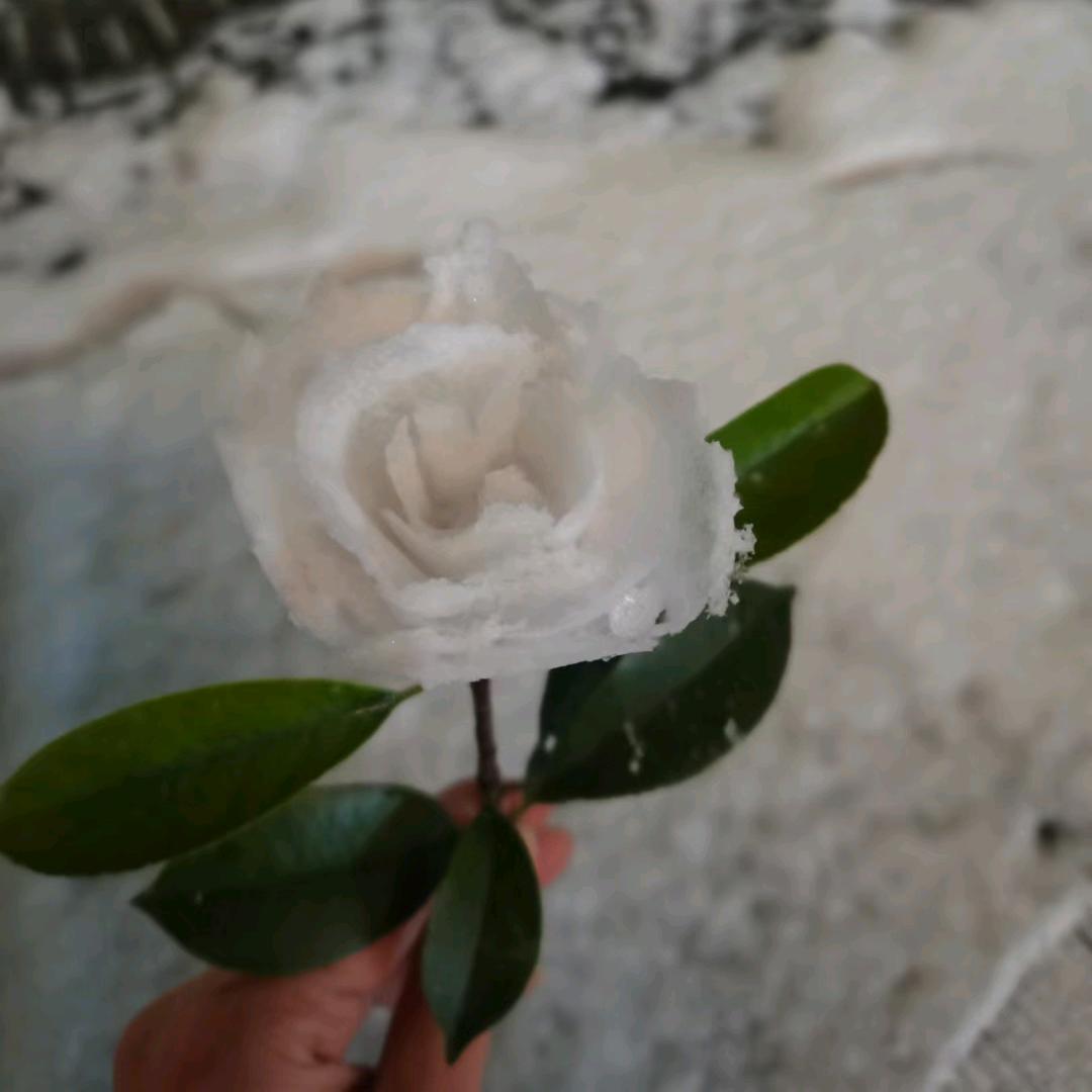 南陌雨微