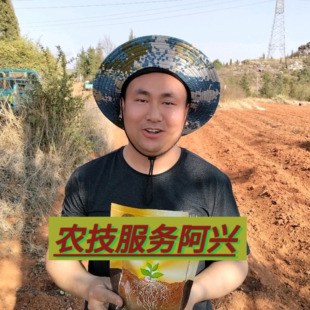 标正苹果植保孟老师
