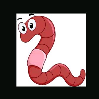 江苏大型蚯蚓养殖基地