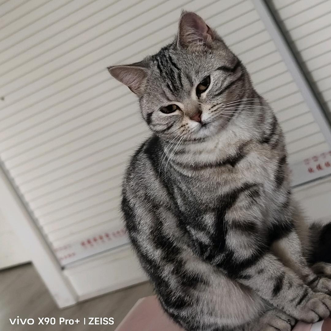 浮生\伿为蓝颜笑