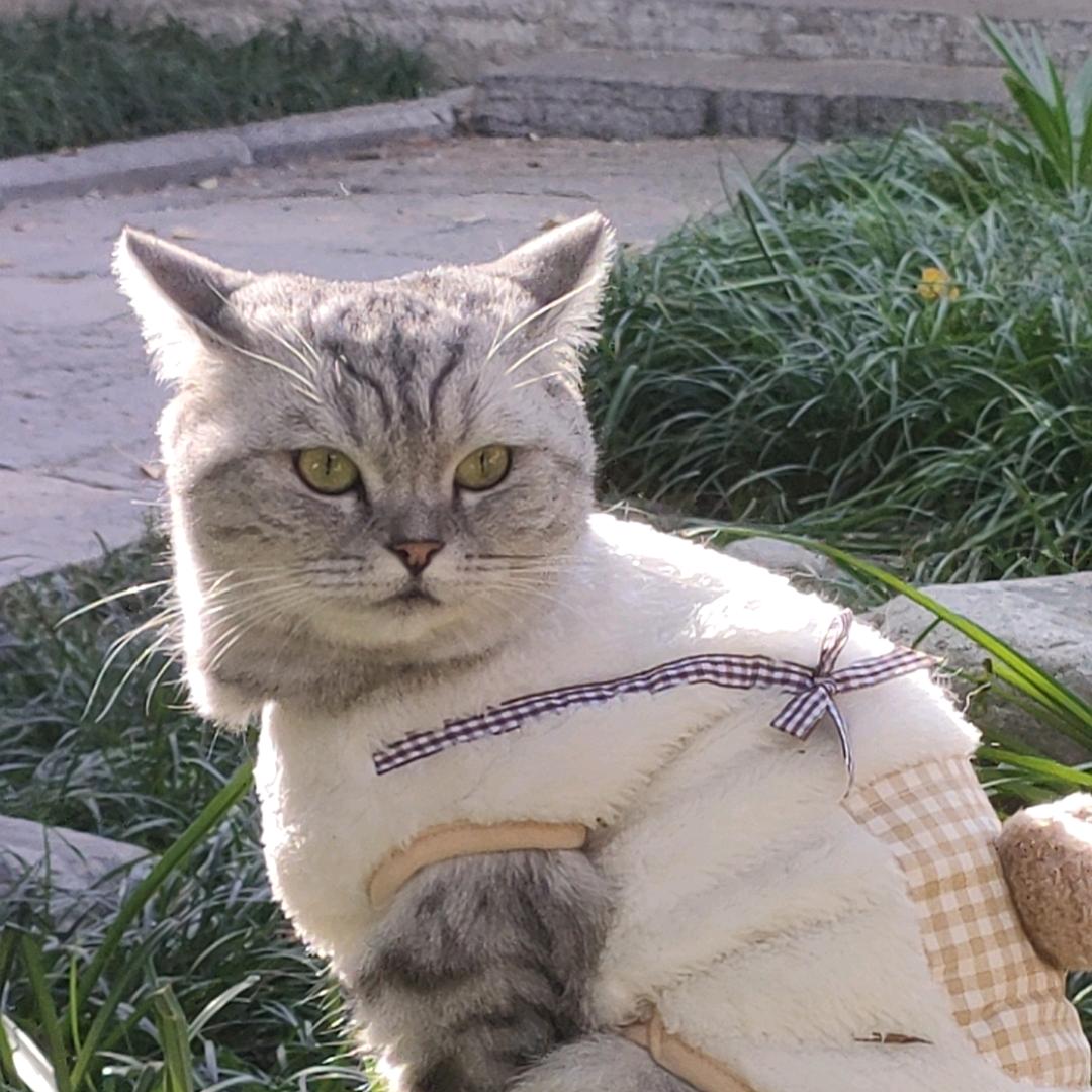 九千 （王者荣耀)