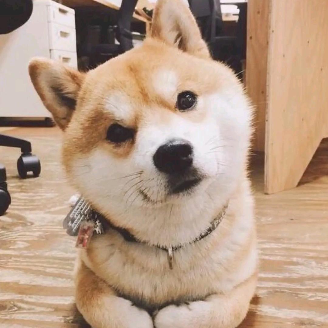 爱炒菜的猪头肉