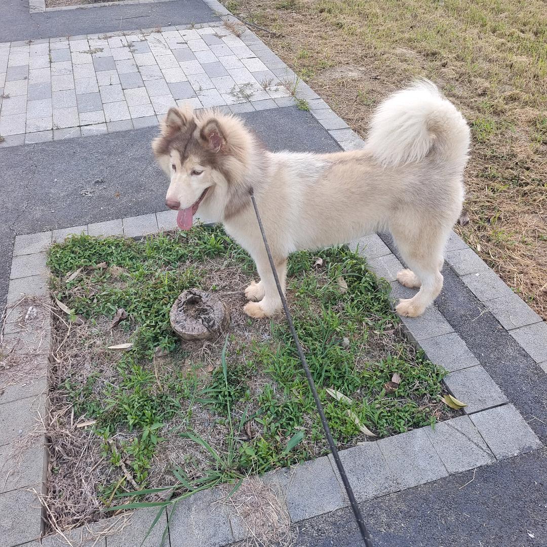 专宠三丫头（姐）