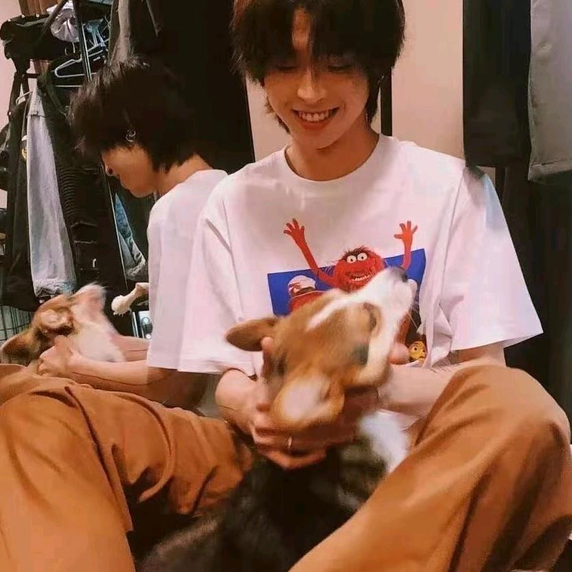 灰太狼🐾