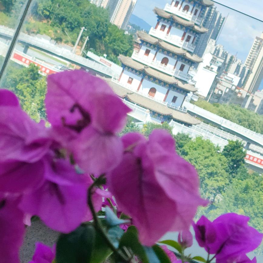 海边微风起，等风也等你