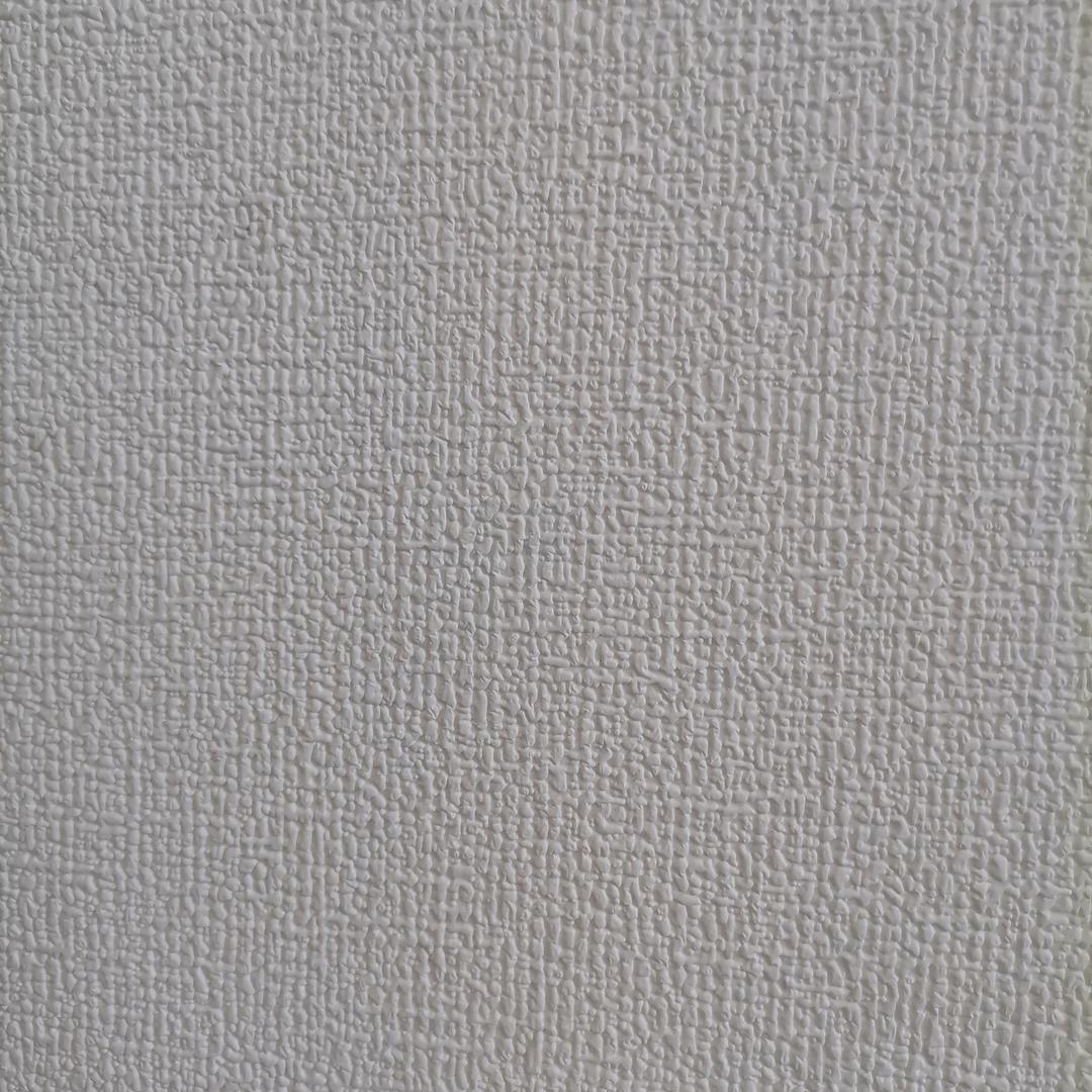 小倪