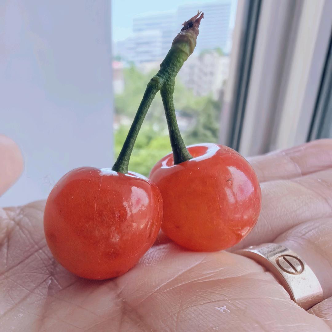 樱桃🍒 小姐姐