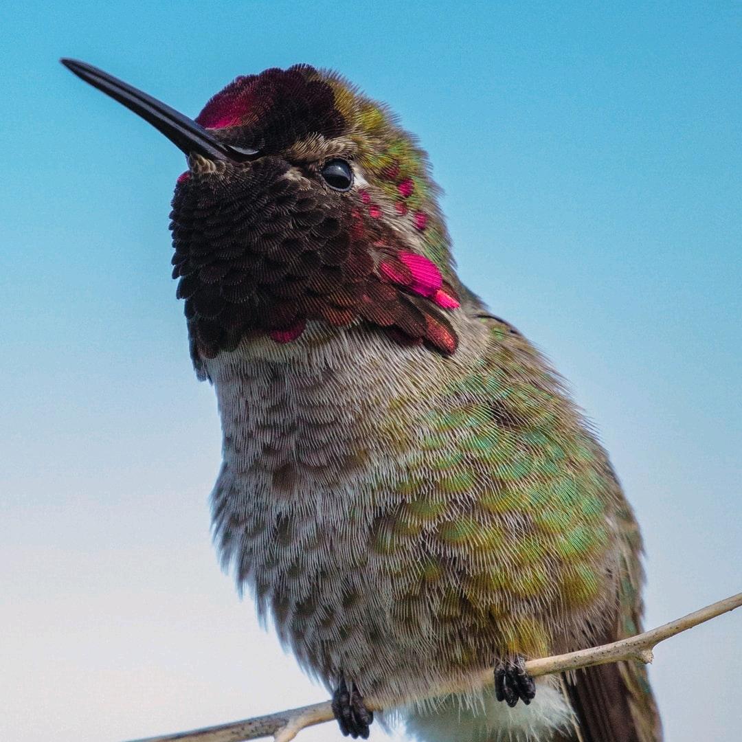 一路向北的阿伟